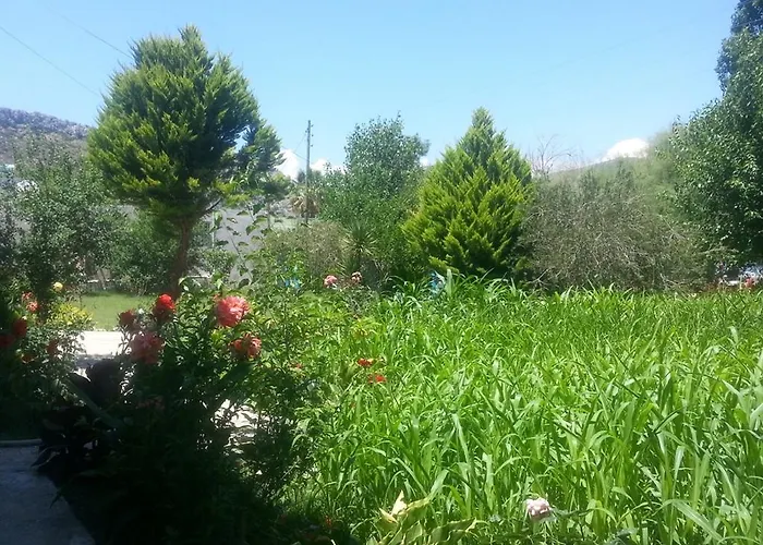 酒店 Coban Selimiye