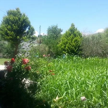 Otel Coban Selimiye